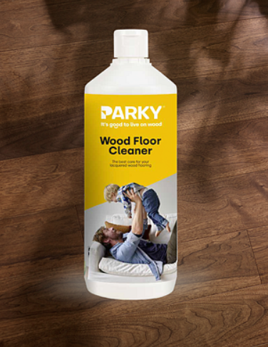 Parky Cleaner